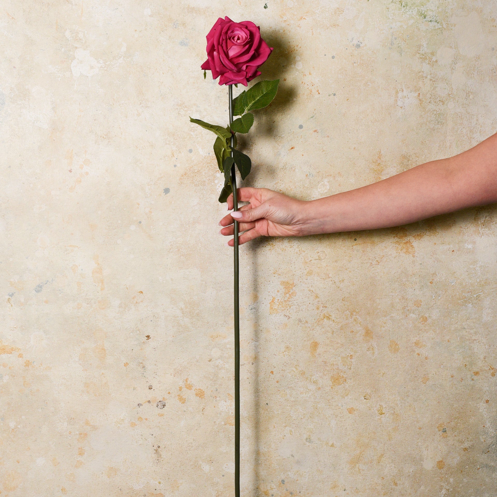 Rose Hannah Real Touch Flower Stem