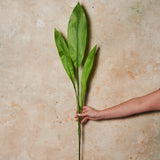 Ginger Leaf Spray Real Touch Stem