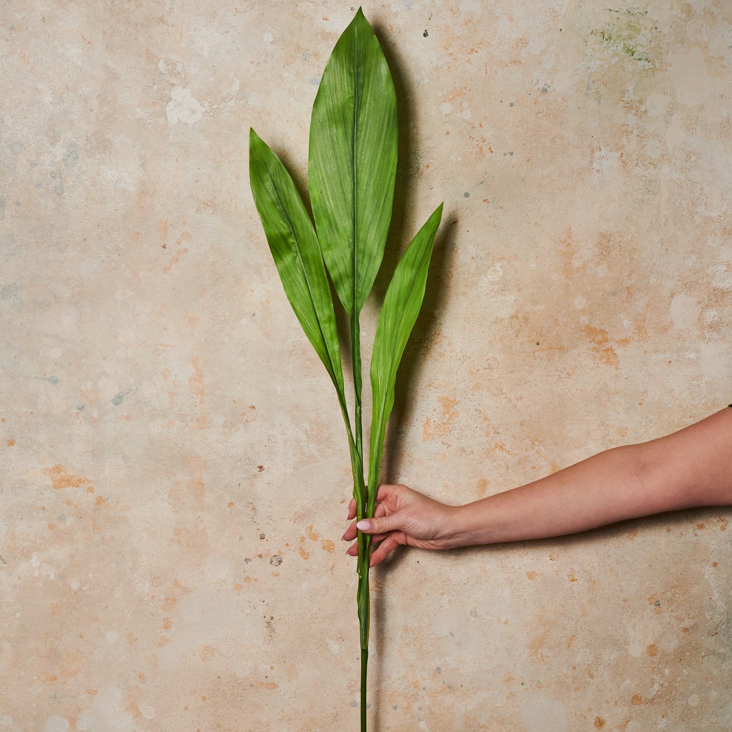 Ginger Leaf Spray Real Touch Stem
