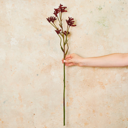 Kangaroo Paw Real Touch Flower Stem