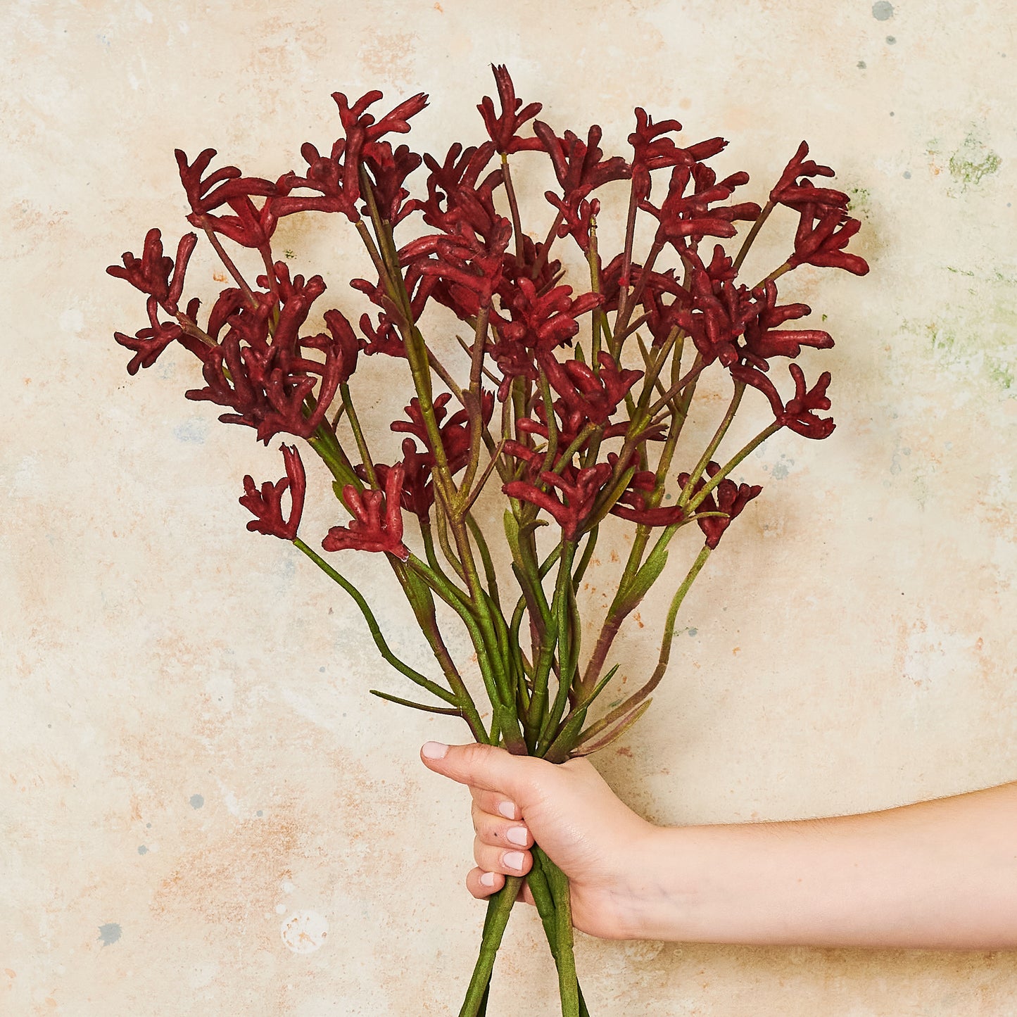 Kangaroo Paw Real Touch Flower Stem