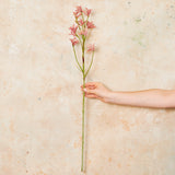 Kangaroo Paw Real Touch Flower Stem