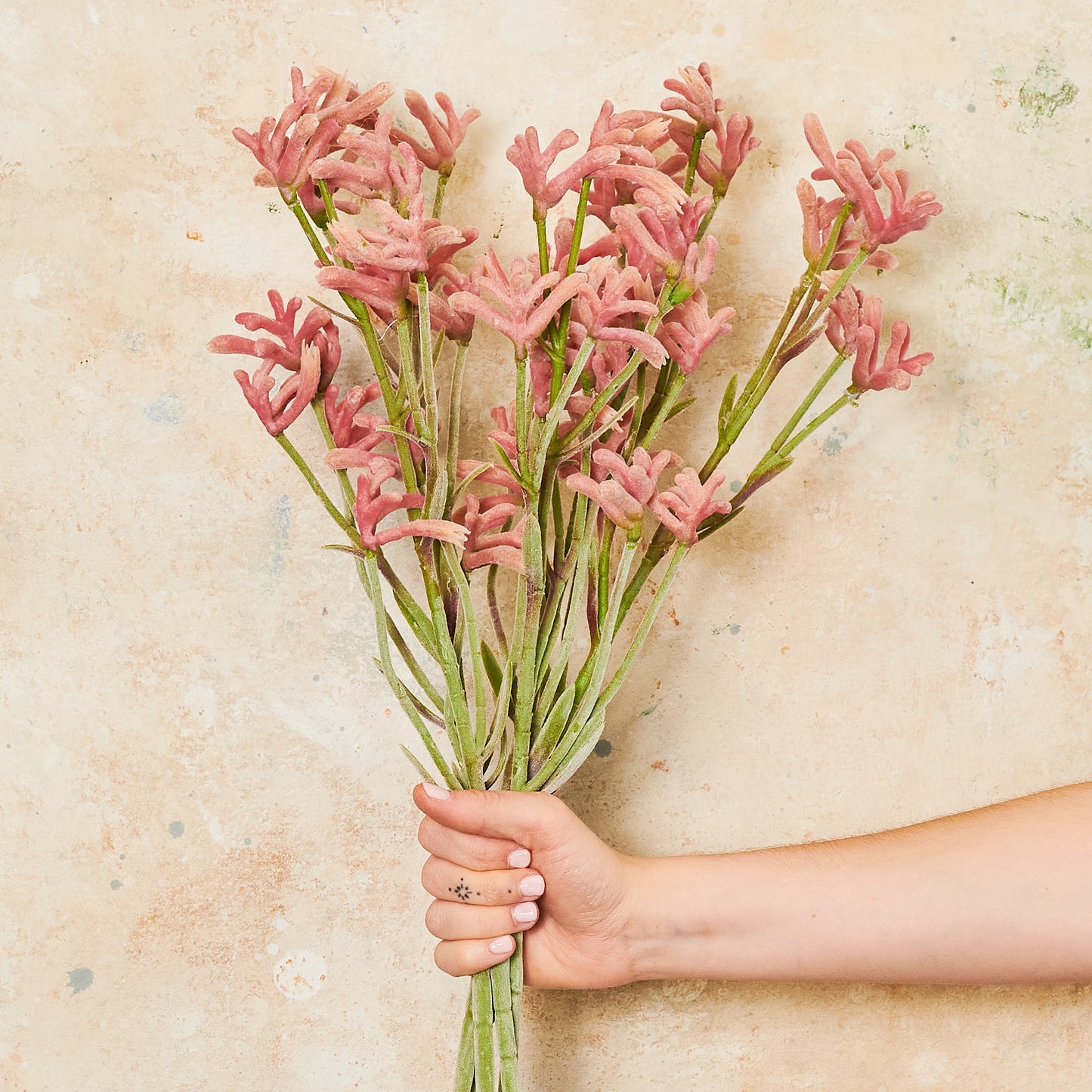 Kangaroo Paw Real Touch Flower Stem