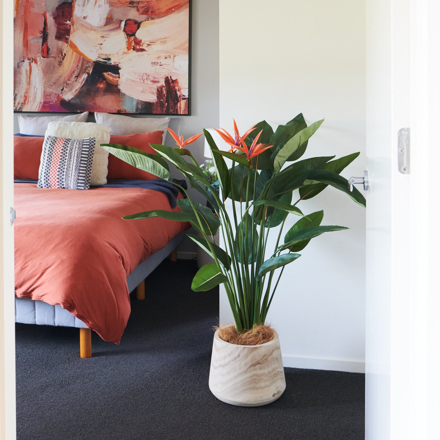 Tatum Bird of Paradise Plant