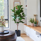Easton Premium Fiddle Leaf Tree