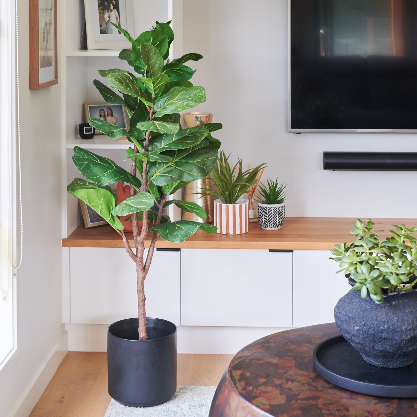 Easton Premium Fiddle Leaf Tree with Pot