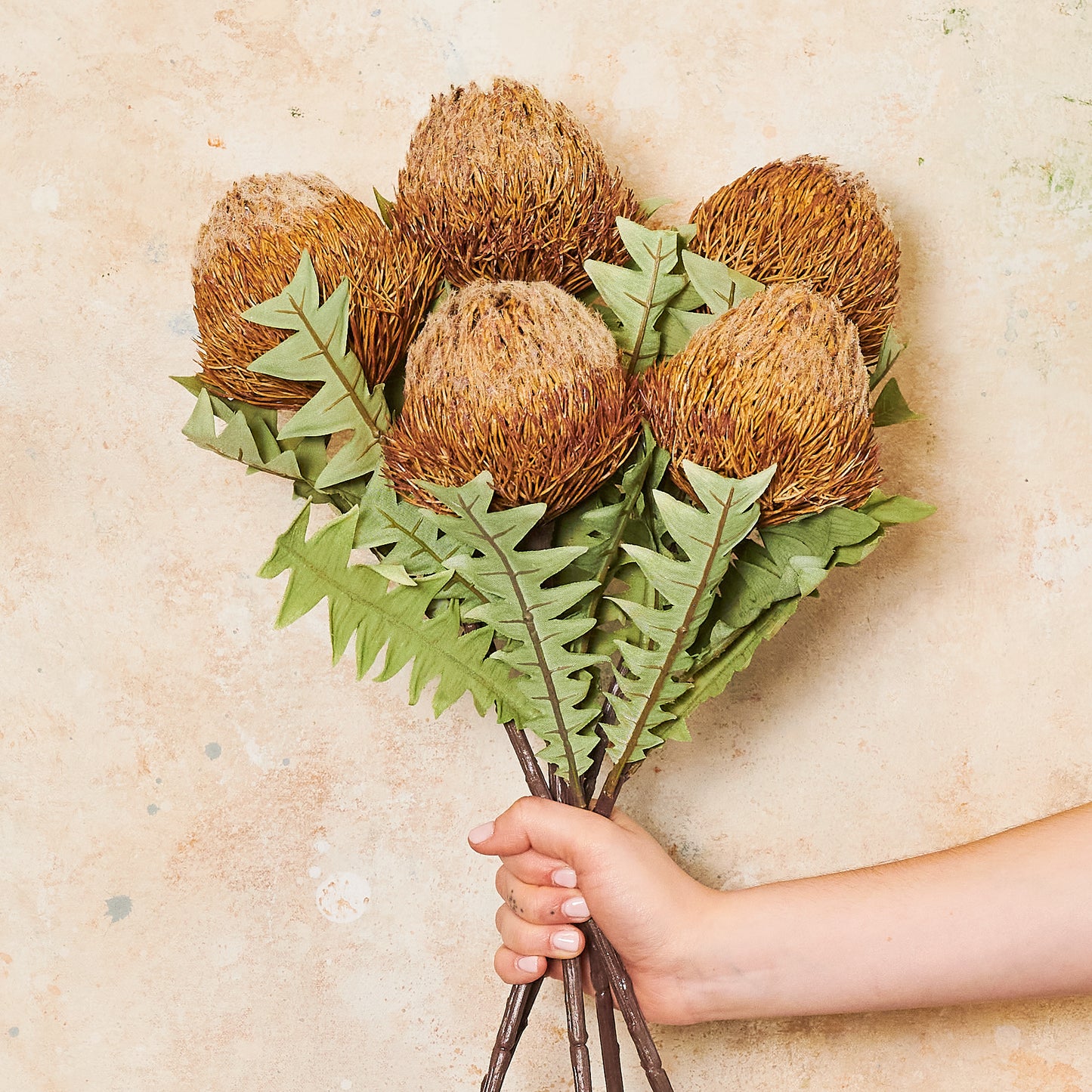 Banksia Baxteri Stem Real Touch Flower Stem