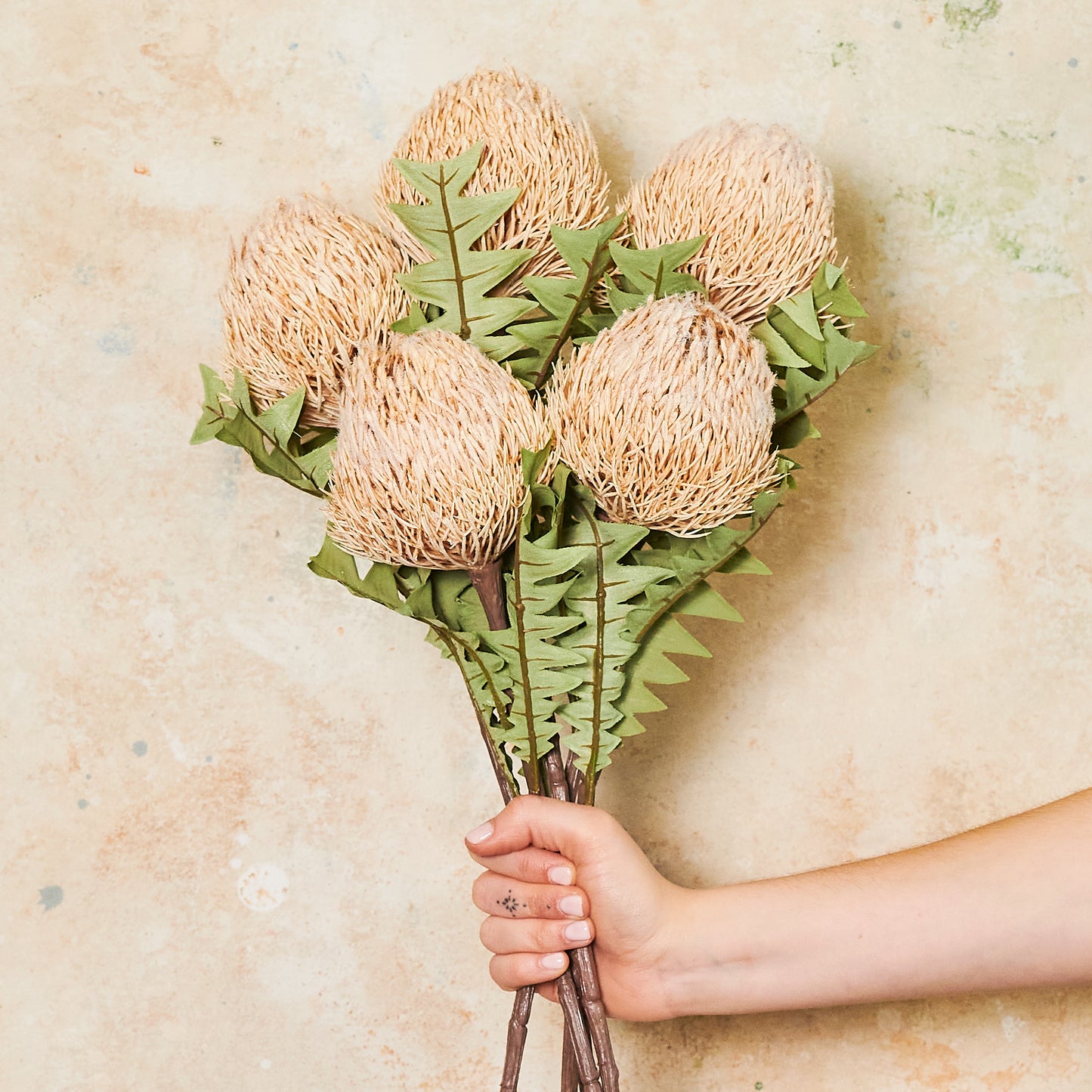 Banksia Baxteri Stem Real Touch Flower Stem
