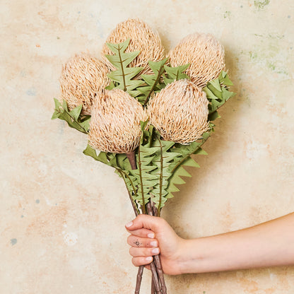 Banksia Baxteri Stem Real Touch Flower Stem