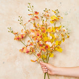 Dancing Orchid Real Touch