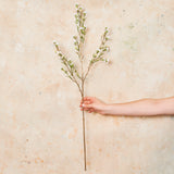 Wax Flower Premium Real Touch Flower Stem