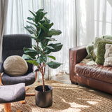 Easton Premium Fiddle Leaf Tree