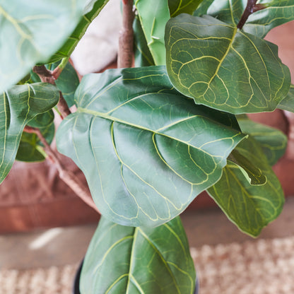 Easton Premium Fiddle Leaf Tree with Pot