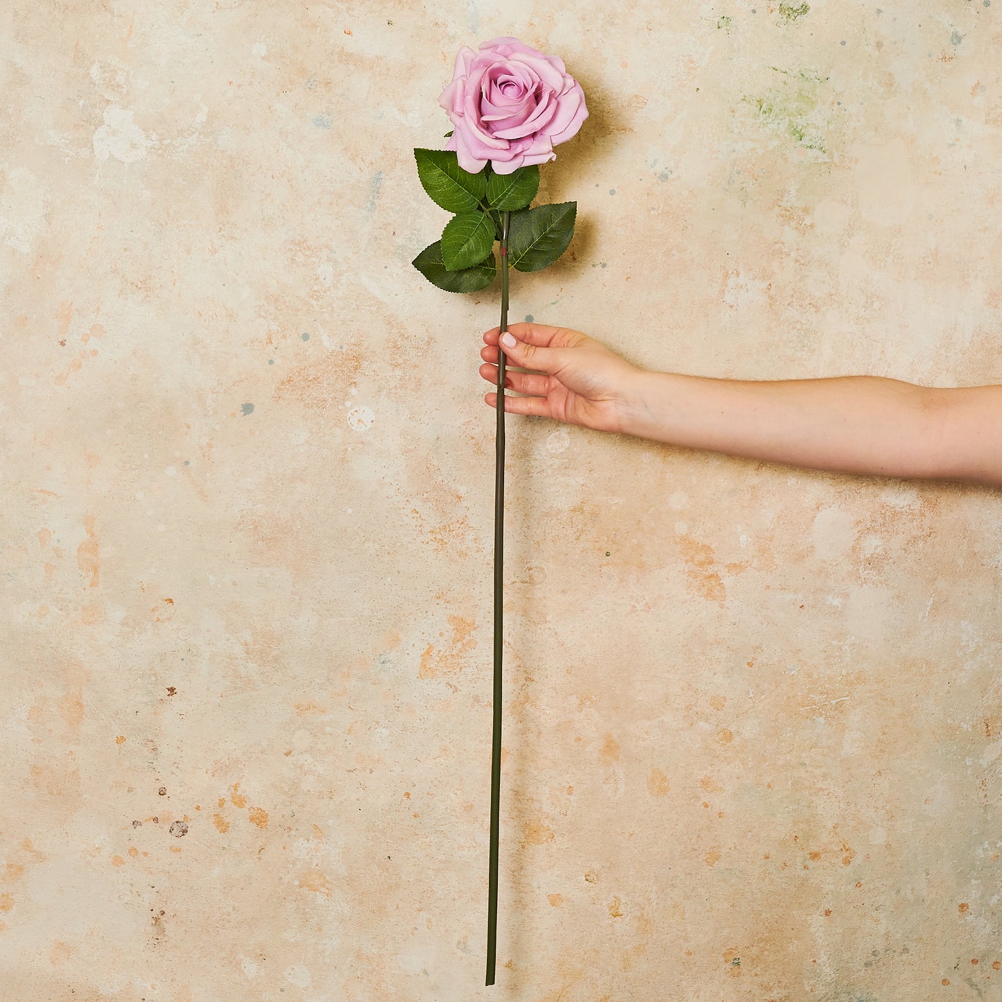 Rose Hannah Real Touch Flower Stem