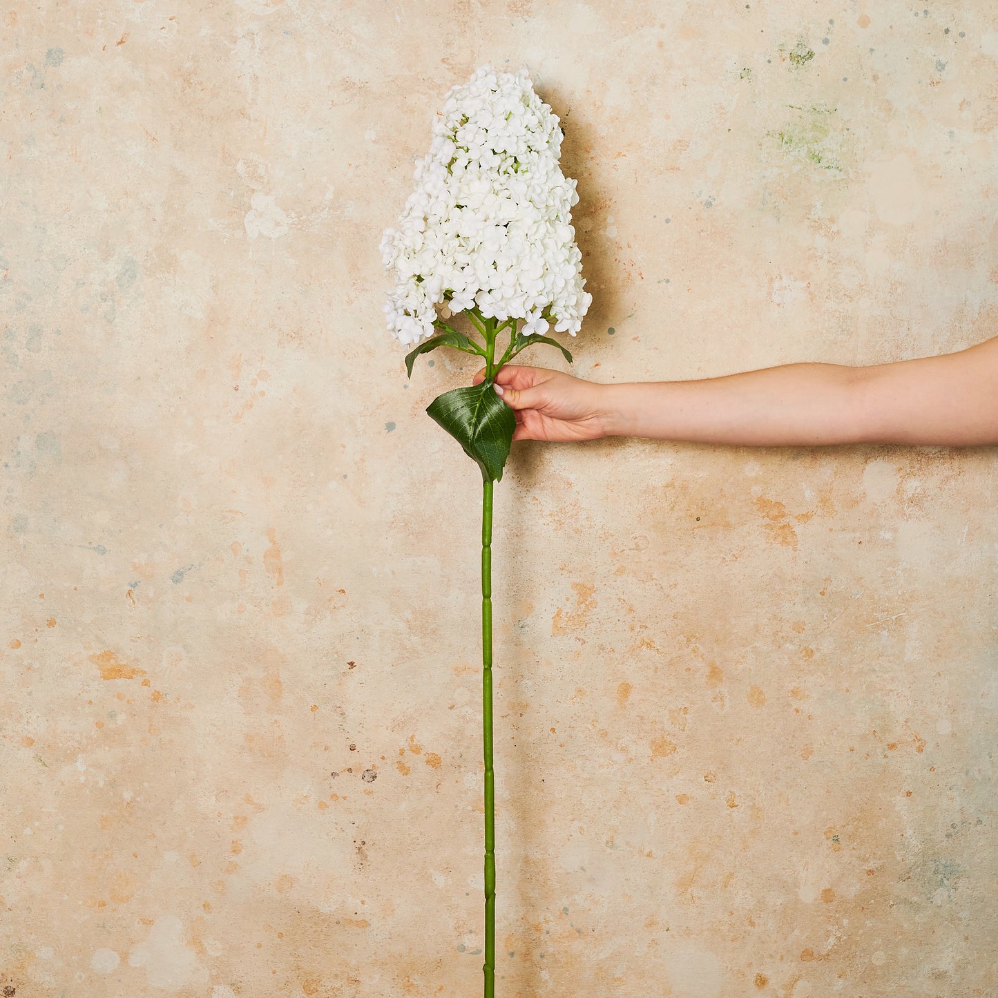Cone Hydrangea Real Touch Flower Stem