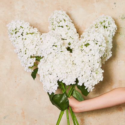 Cone Hydrangea Real Touch Flower Stem