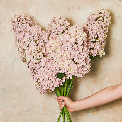 Cone Hydrangea Real Touch Flower Stem