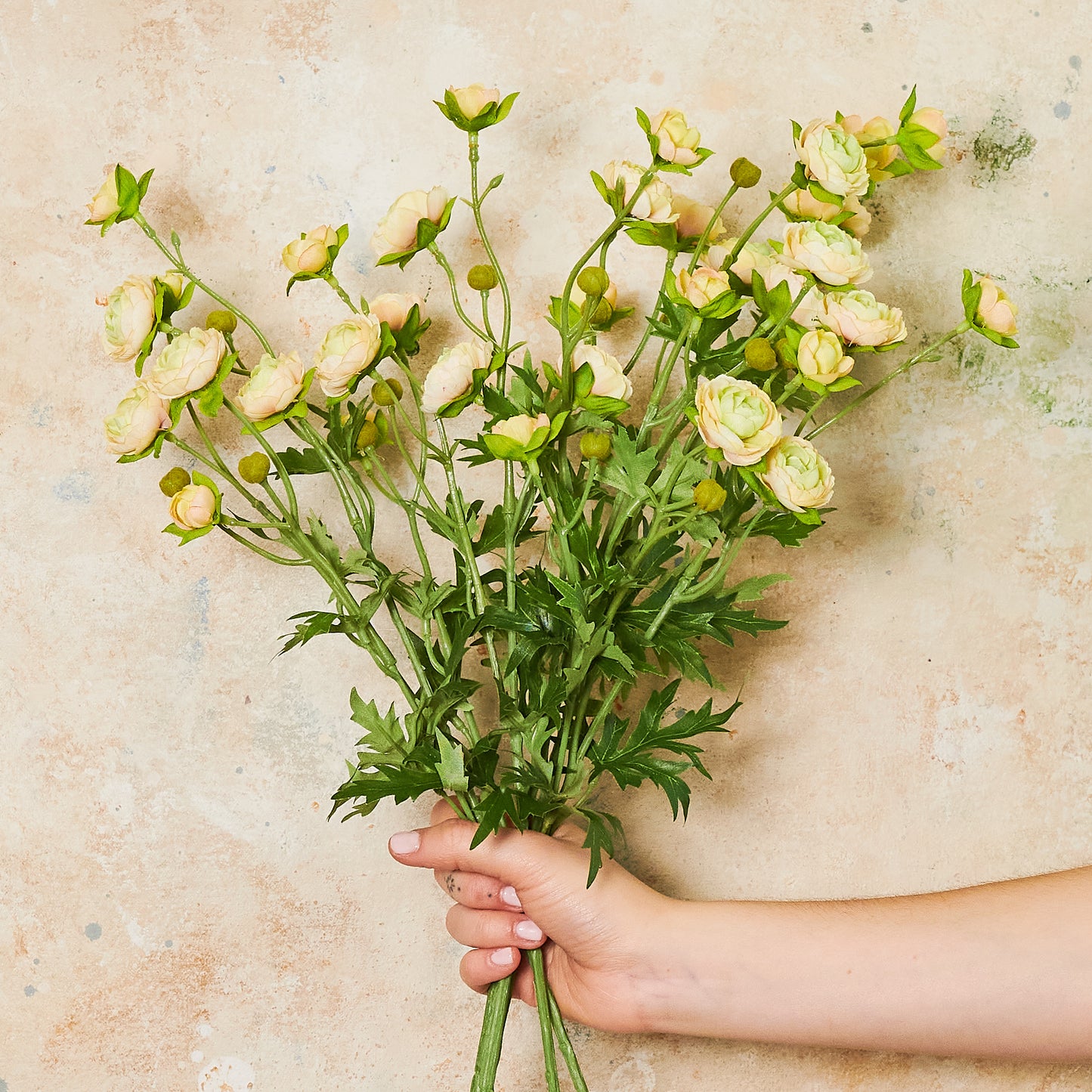 Ranunculus Spray Flower Stem