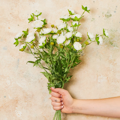Ranunculus Spray Flower Stem