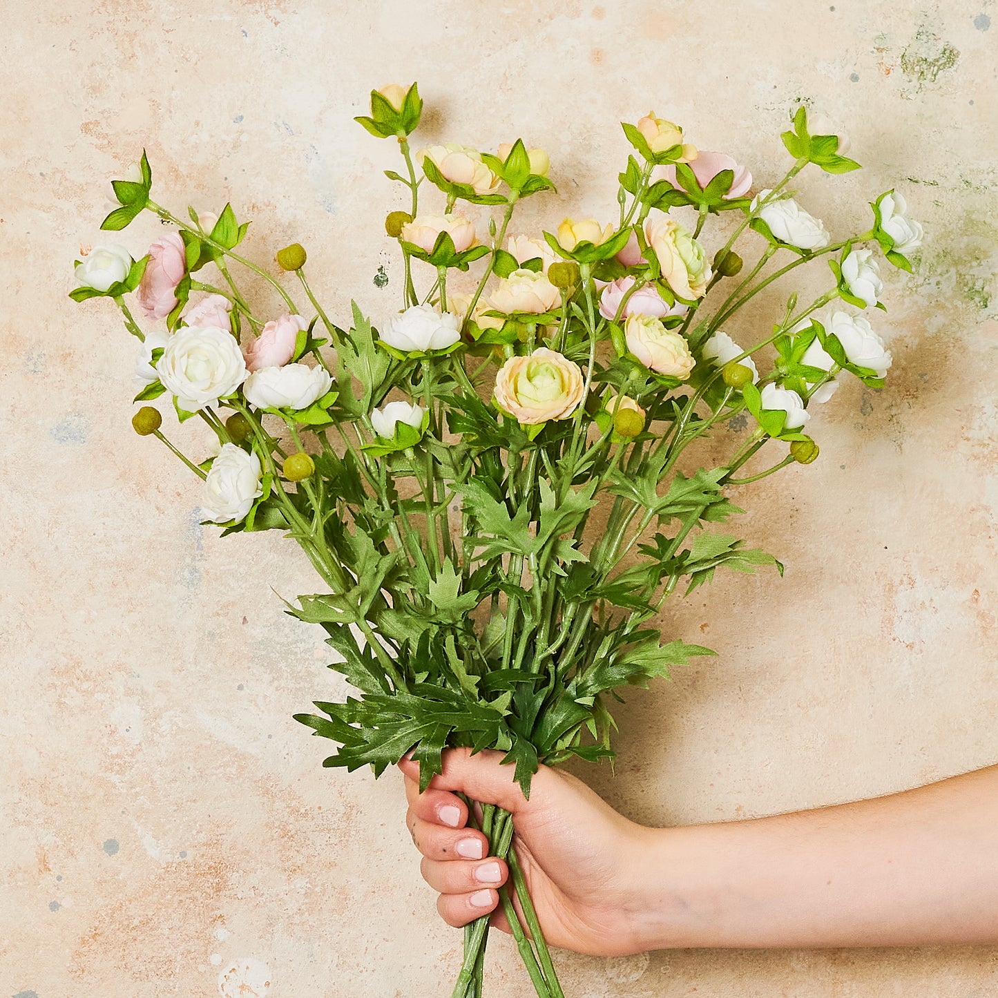 Ranunculus Spray Flower Stem