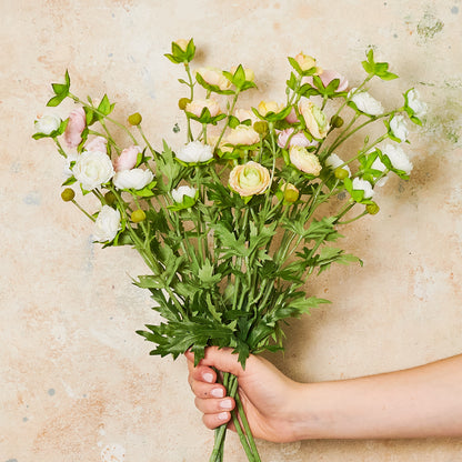Ranunculus Spray Flower Stem