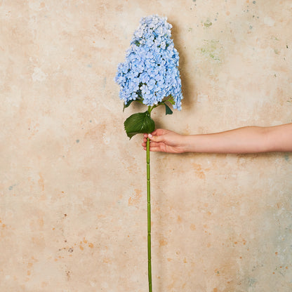 Cone Hydrangea Real Touch Flower Stem