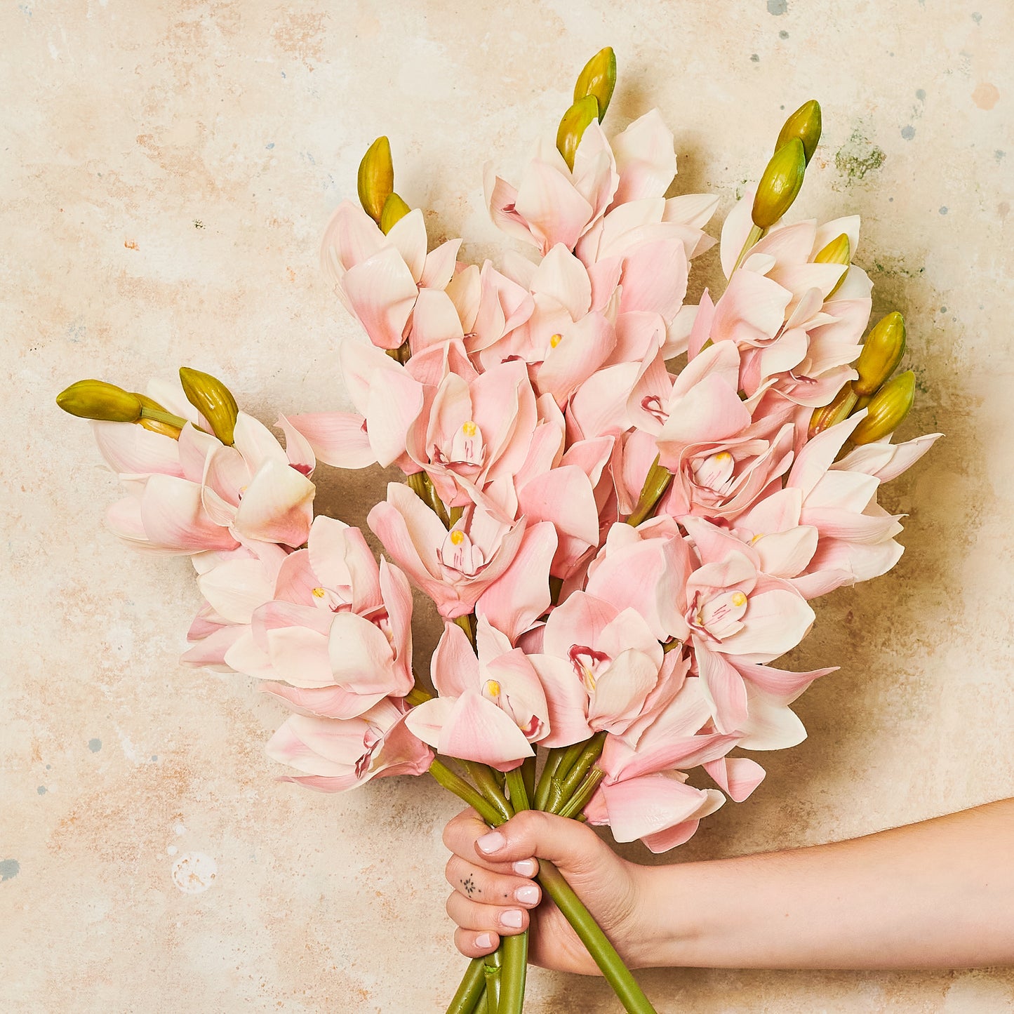 Cymbidium Orchid Real Touch Flower Stem
