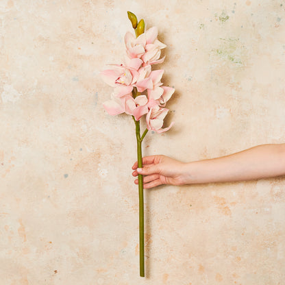 Cymbidium Orchid Real Touch Flower Stem