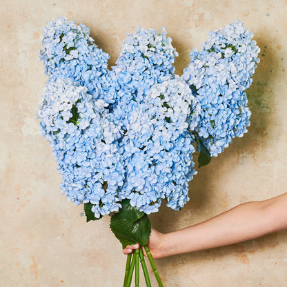 Cone Hydrangea Real Touch Flower Stem
