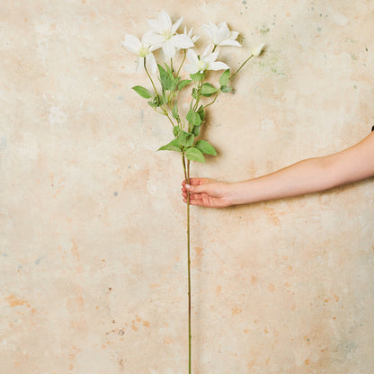 Clematis Real Touch Flower Stem