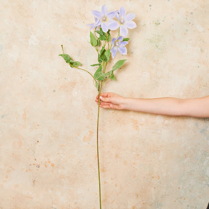 Clematis Real Touch Flower Stem