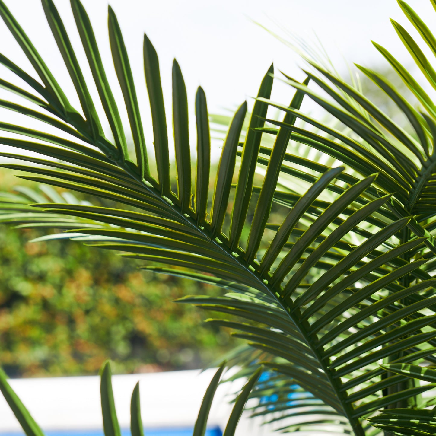UV Resistant Areca Palm Tree