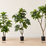 Fig Real Touch Artificial Tree