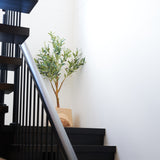 Everly Real Touch Olive Tree with Wood Pot