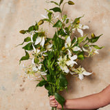 Gloriosa Spray Real Touch Flower Stem