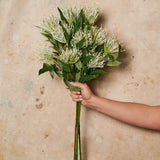Grevillea Spray Real Touch Flower Stem