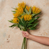 Grevillea Spray Real Touch Flower Stem