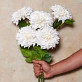 Pompon Dahlia Large Real Touch Flower Stem