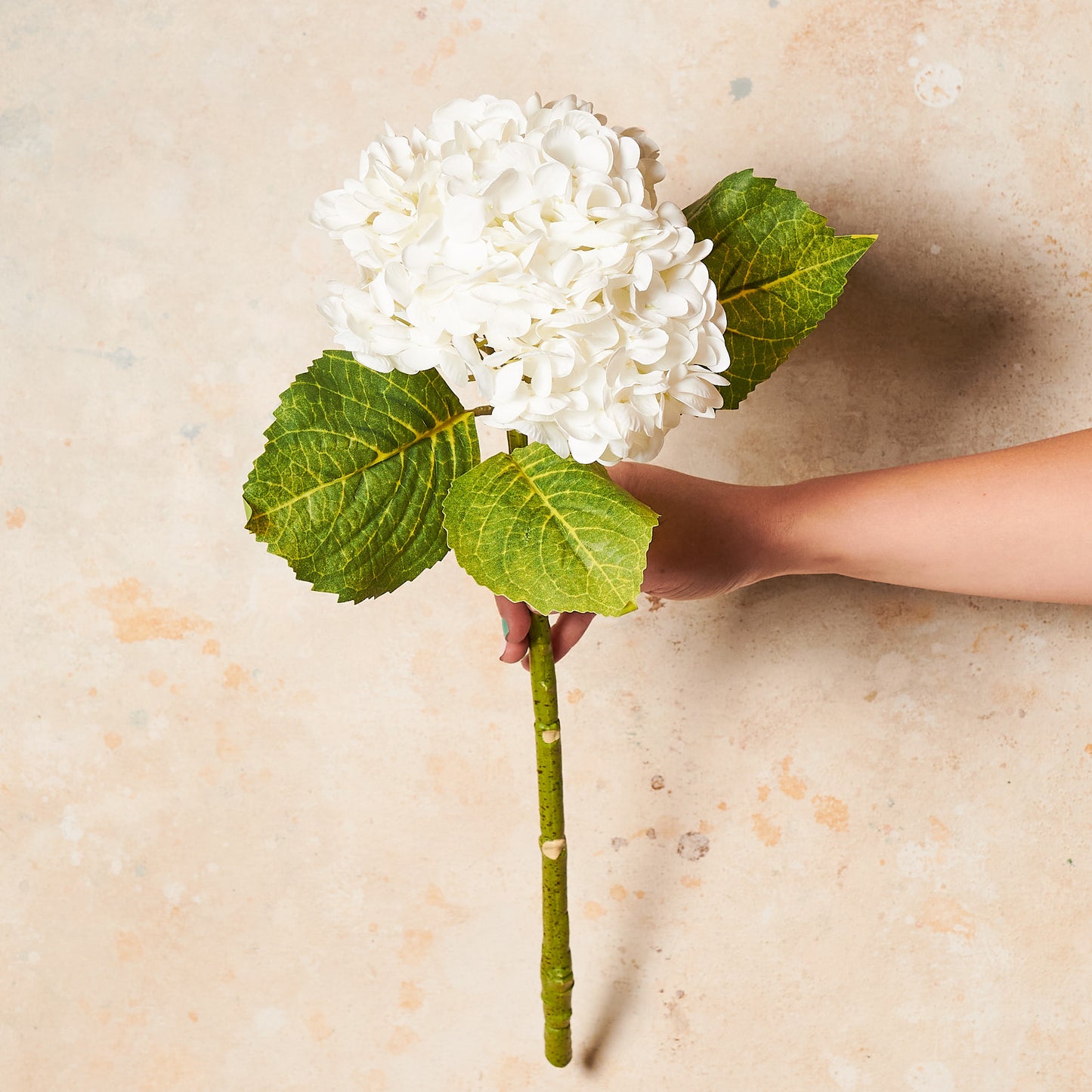 Hydrangea Real Touch Flower Stem Premium