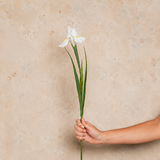 Iris Real Touch Flower Stem