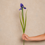 Iris Real Touch Flower Stem