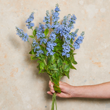Larkspur Spray Real Touch Flower Stem