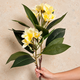 Frangipani Real Touch Flower Stem