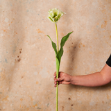 Parrot Real Touch Tulip Stem