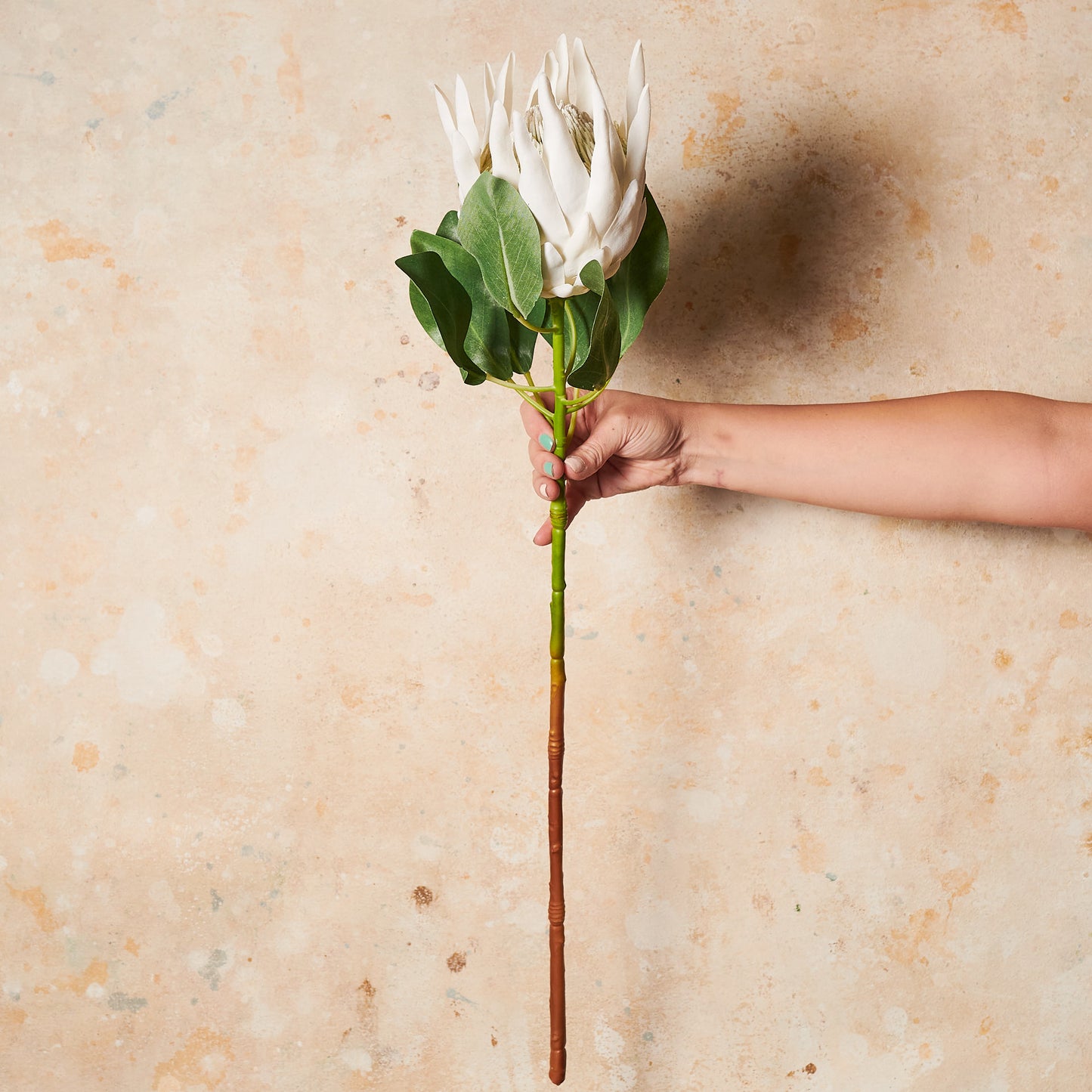King Protea Real Touch Flower Stem