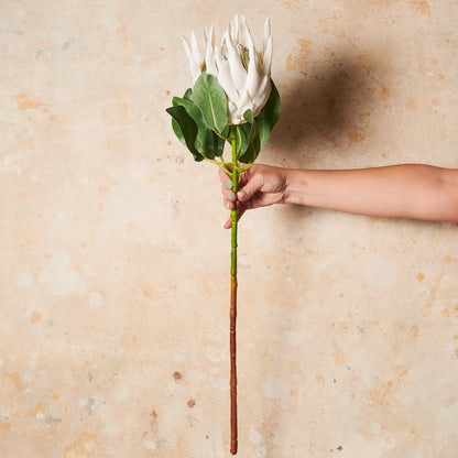 King Protea Real Touch Flower Stem