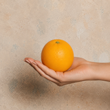 Orange Artificial Fruit