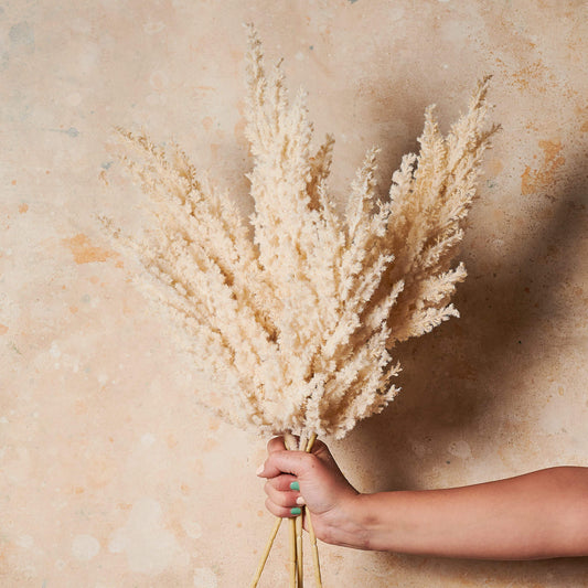 Plume Grass Cream Real Touch Stem