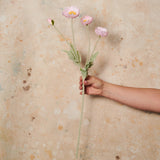 Poppy Real Touch Flower Stem