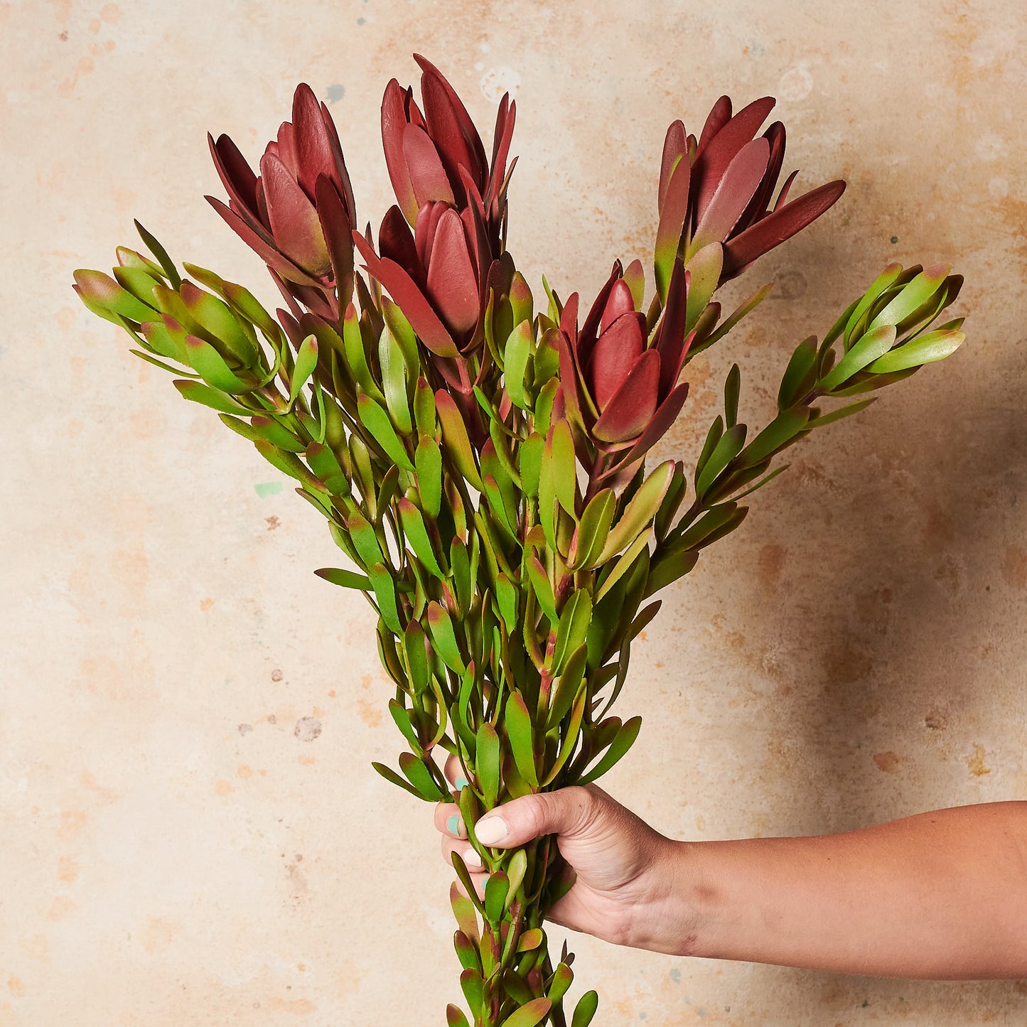 Protea Leucadendron Real Touch Flower Stem